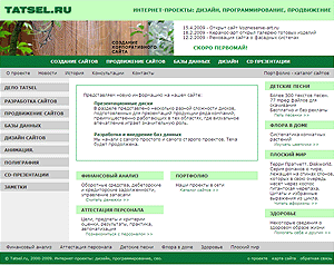 Tatsel.ru - информационные технологии